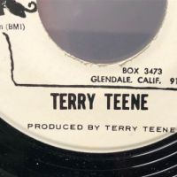Terry Teene Curse of the Hearse on Iowa Records 3.jpg