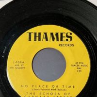 The Echoes of Carnaby Street No Place or Time on Thames Records 2.jpg