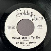 The Shags What Am I To Do b:w It Ain’t Easy on Golden Voice 5 (in lightbox)