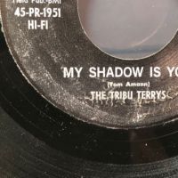 The Tribu Terrys Leavin’ To Stay on Prism 8.jpg