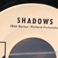 The Vejtables Shadows on Uptown 741 white label promo 6 (in lightbox)