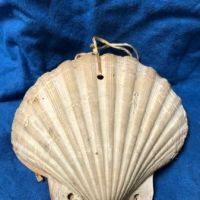 Victorian Era Scallop Shell Book with Pressed Flowers 18.jpg