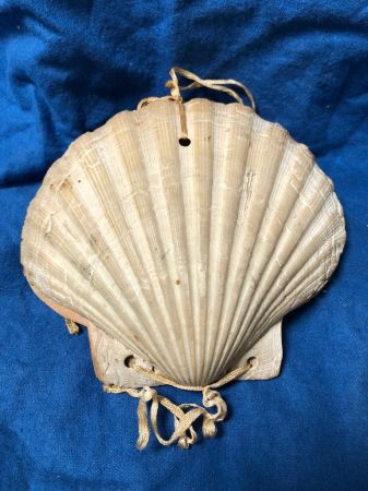 Victorian Era Scallop Shell Book with Pressed Flowers 18.jpg