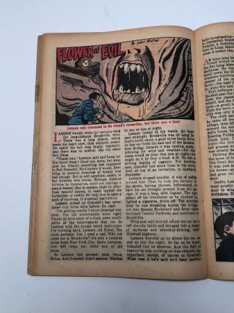 Out of the Shadows No. 13 May 1954 16.jpg