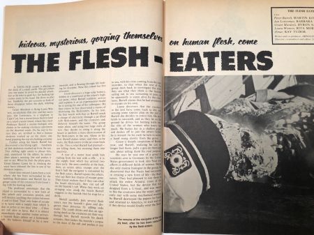 Shriek! Number 1 May 1965 published by Acme News Co 10.jpg