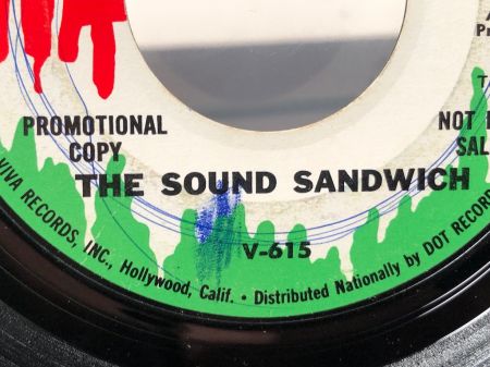 The Sound Sandwich Apothecary Dream on Viva 8.jpg