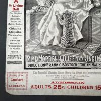 1902 Baltimore Zoo Poster with Chiquita The Living Doll and Morelli Queen of Jaguars 10.jpg