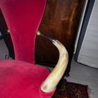 Antique Horn Chair 2.jpg