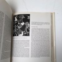 Art Nouveau by Robert Schmutzler Hardback with DJ 1962 12.jpg