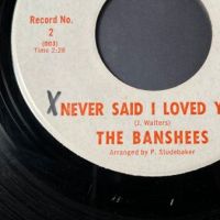attachm The Banshees Never Said I Loved You b:w So Hard To Bear 3.jpg