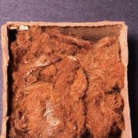Circa 1900 Box of Pele's Hair Volcanic Lava Glass 3.jpg (in lightbox)