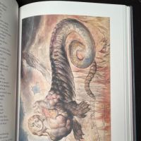 Dante's Inferno Illustrated by William Blake Folio Society 2007 3rd Printing  with Slipcase 17.jpg