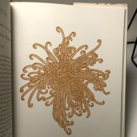 Flora Exotica HArdback with Dust Jacket Editon of 3500 Woodcuts by Jacques Hnizdovsky 13.jpg