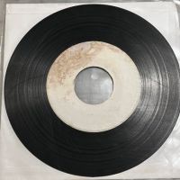 Honey & The Bees Together Forever on Arctic One Sided Promo 6.jpg