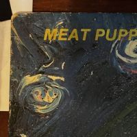 Meat Puppets II 2.jpg