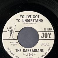 The Barbarians Hey Little Bird : You've Got To Understand on Joy Records White Label Promo with Factory Sleeve 11.jpg