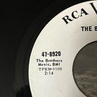 The Bruthers Bad Way To Go on RCA White Label Promo 9.jpg