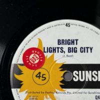 The Five Bright Lights Big City b:w Wasting My Time on Sunshine Records 7.jpg