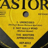 The Masters Apprentices EP on Astor 4.jpg