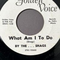 The Shags What Am I To Do b:w It Ain’t Easy on Golden Voice 6 (in lightbox)