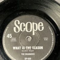 The Sharades What is The Reason on Scope 13.jpg