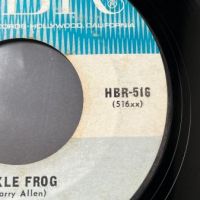 The Time Stoppers I Need Love b:w Fickle Frog on HBR Records 12.jpg