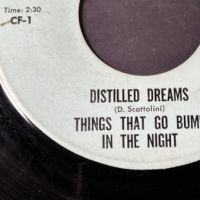 Things That Go Bump In The Night Distilled Dreams on Dredgen Records 3.jpg