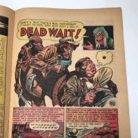 Vault of Horror No. 23 February 1952 published by EC Comics 13.jpg