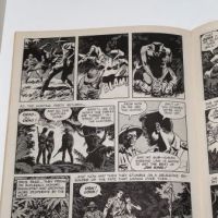 Wally Wood Witzend No 1 1966 9.jpg