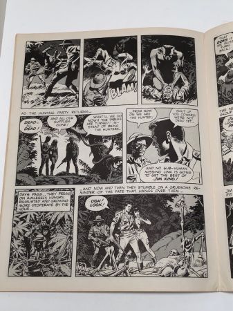 Wally Wood Witzend No 1 1966 9.jpg