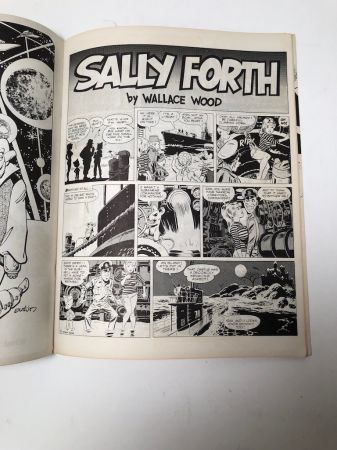 Witzend No 10 1976 Full Color Cover and Back by Wally Wood 11.jpg