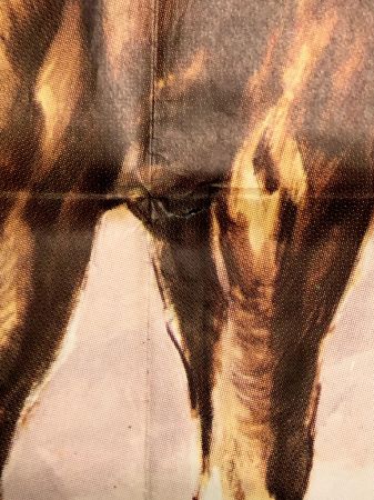 Circus Posters by Marcello Colizzi 16.jpg