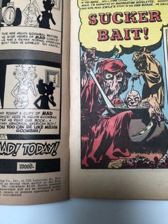 Haunt of Fear No 19 June 1953 published by EC Comics 9.jpg
