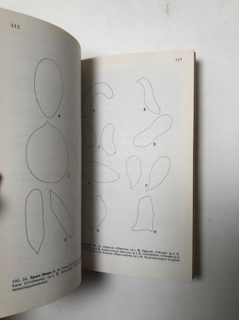 How to Identify Mushrooms to Genus I-IV Published by Mad River Press 20.jpg