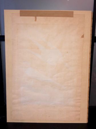 James Audubon Arctic Yager Long-tailed Jaeger Plate CCLXVII (267) 19.jpg
