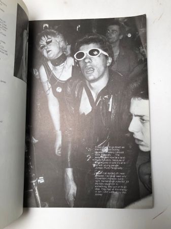 Punk Rock by Virginia Boston Published by Penguin Books 1978 1st Edition 8.jpg
