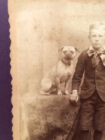 Schutte Baltimore Photographer Cabinet Card Young Boy with His Dog on Table 2.jpg