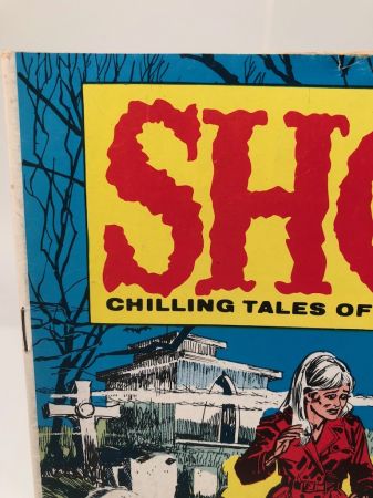 Shock Chilling Tales of Horror and Suspense March 1970 Published by Stanley Publication 2.jpg