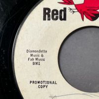 006 Like What, Me Worry b:w Why Can’t I Stay on Red Bird PROMO 9.jpg