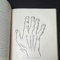 Cheiro's Language Of The Hand Book 6th Ed. 1900 6.jpg