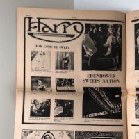Harry Underground Newspaper June 5 1971 6.jpg