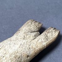 Inuit Carved Seal Bone 3 (in lightbox)