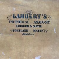 Medical Pull Down Chart Plate 5 Lambert's Pictorial Anatomy Sanborn & Carter Portland Main Human Body Circulatory System  Printed by E. Michelin New York Printer 3.jpg