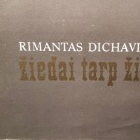 Rimantas Dichavicius Blossoms Among Blossoms Hardback 1989 6.jpg