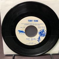 Terry Teene Curse of the Hearse on Iowa Records 5.jpg