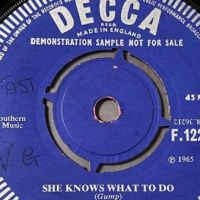 The Art Woods Goodbye Sisters b:w She Knows What To Do on Decca  PROMO UK 10.jpg