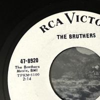 The Bruthers Bad Way To Go on RCA White Label Promo 10.jpg