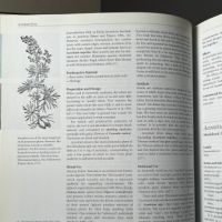 The Encyclopedia of Psychoactive Plants by Christian Ratsch Published by Park Street Press 8.jpg