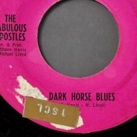 The Fabulous Apostles You Don't Know Like I Know b:w Dark Horse Blues on Shana Records 8.jpg