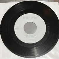 The Ferraris Can’t Explain on Welhaven Records 1.jpg